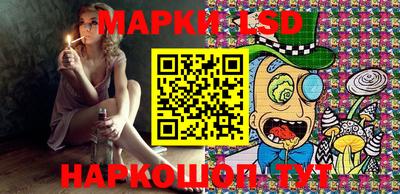 крисы Новокубанск