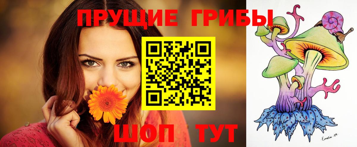 Псилоцибиновые грибы MAGIC MUSHROOMS Хабаровск